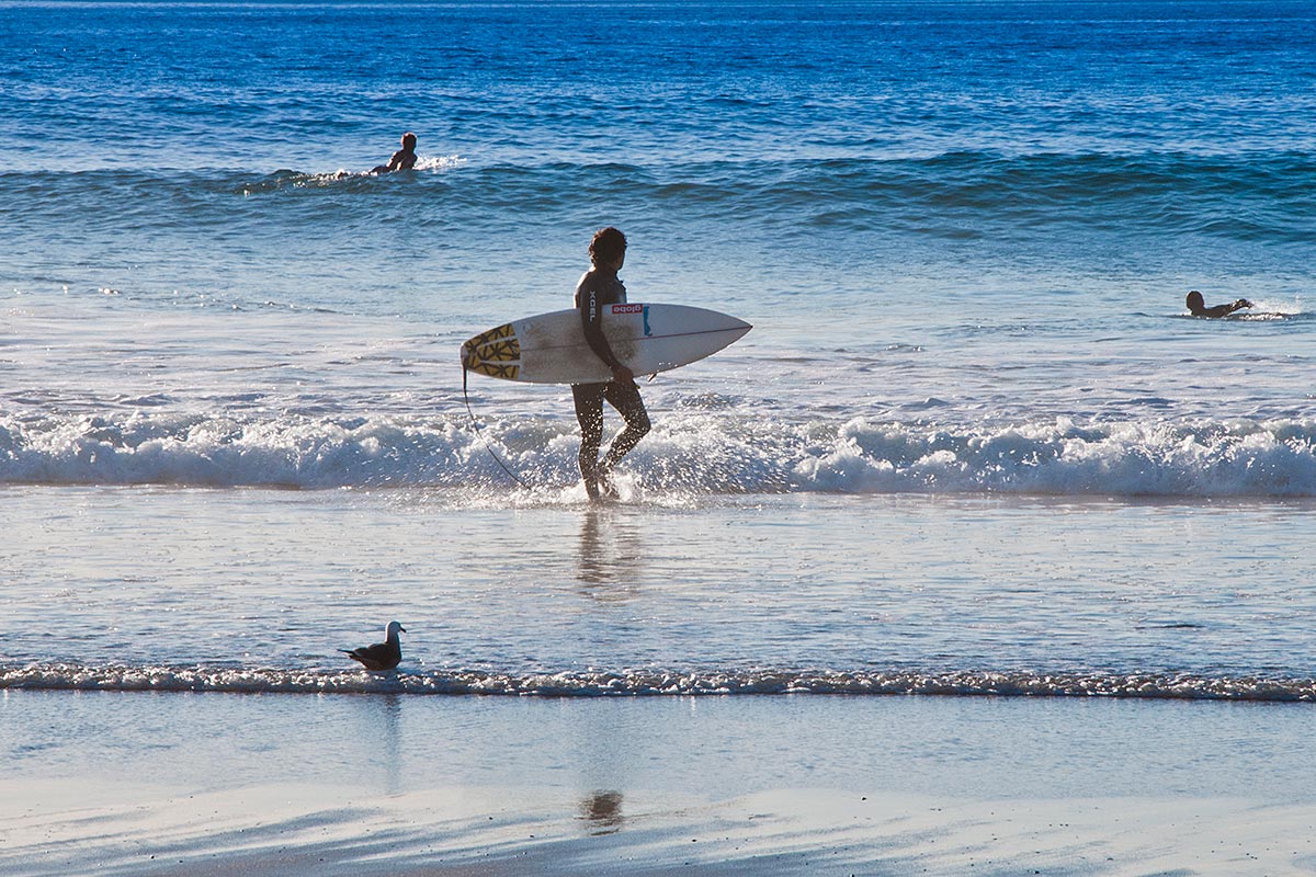 Hermosa Beach Surf Culture: More Than Waves, It’s a Way of Life